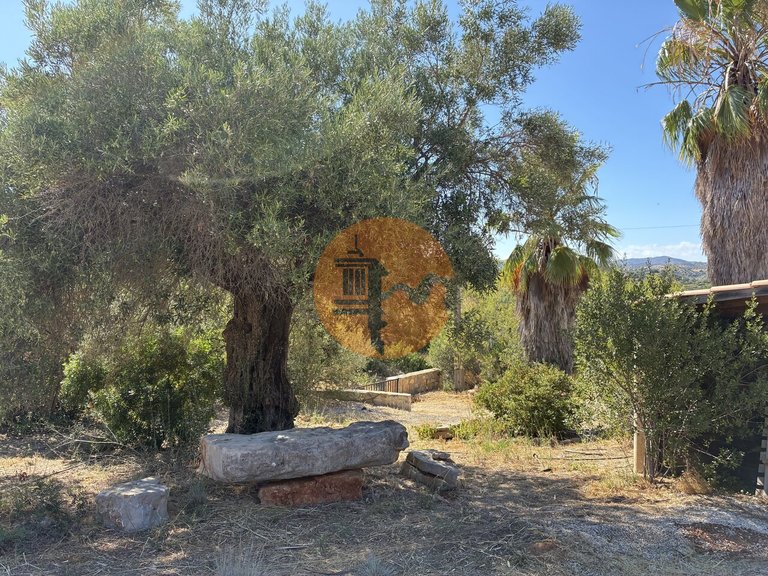 Villa for Rent in Santo Estêvão, Tavira, Portugal 47