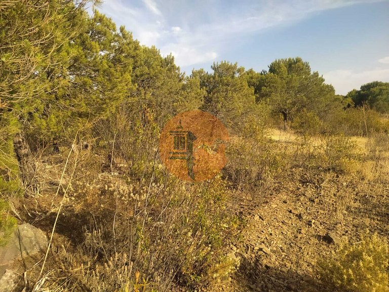 Plot for Sale in Odeleite, Castro Marim, Portugal 6