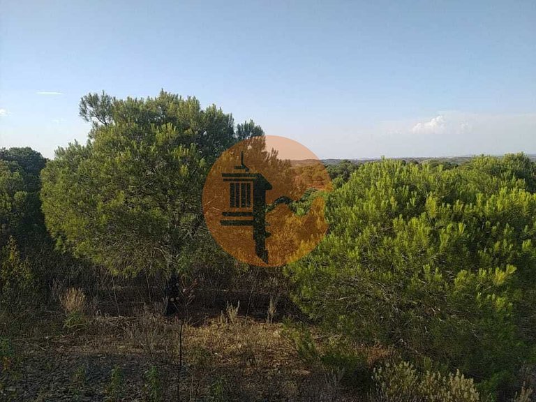 Plot for Sale in Odeleite, Castro Marim, Portugal 7