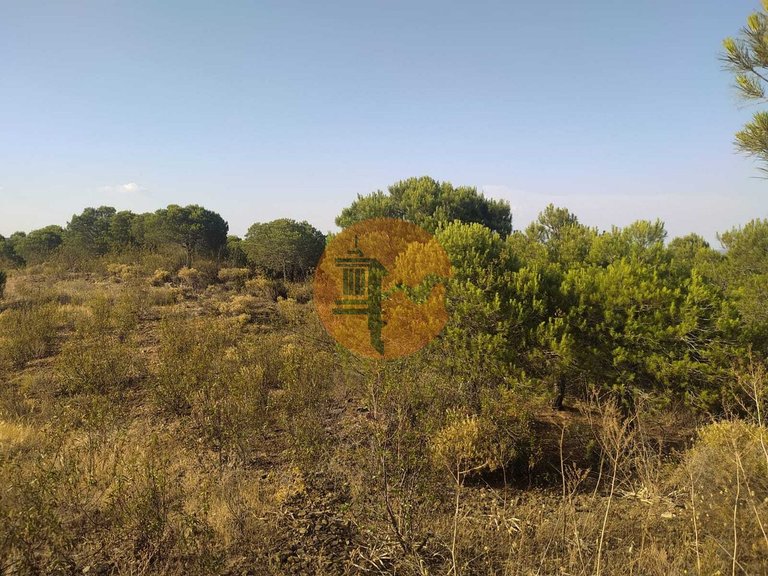 Plot for Sale in Odeleite, Castro Marim, Portugal 9