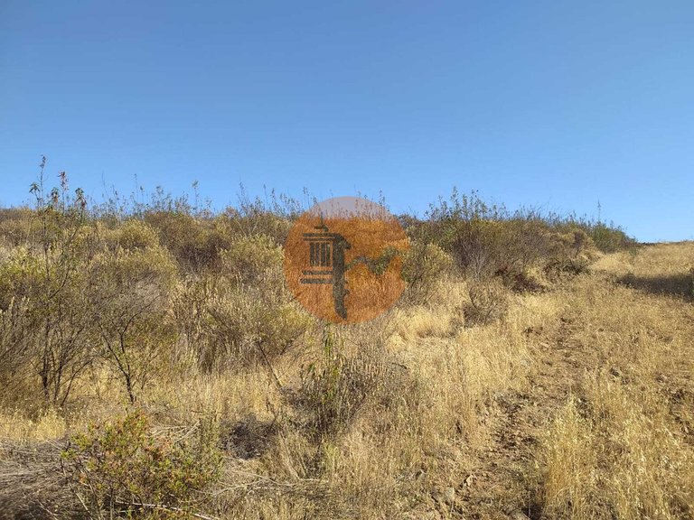 Plot for Sale in Odeleite, Castro Marim, Portugal 14