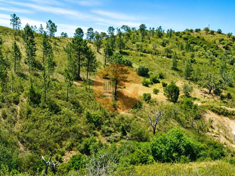 Plot for Sale in Santa Catarina Da Fonte Do Bispo, Tavira, Portugal 3
