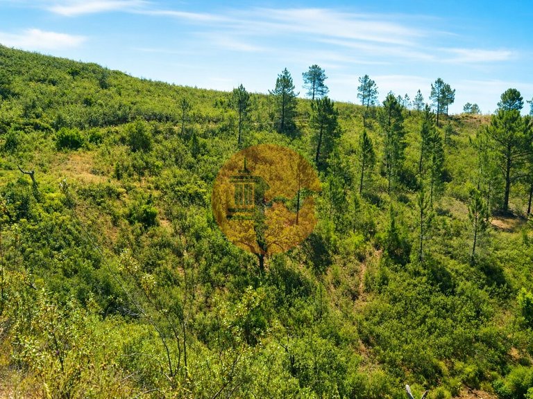Plot for Sale in Santa Catarina Da Fonte Do Bispo, Tavira, Portugal 4