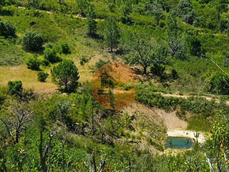 Plot for Sale in Santa Catarina Da Fonte Do Bispo, Tavira, Portugal 6
