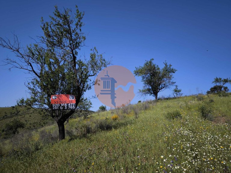Plot for Sale in Castro Marim, Castro Marim, Portugal 9
