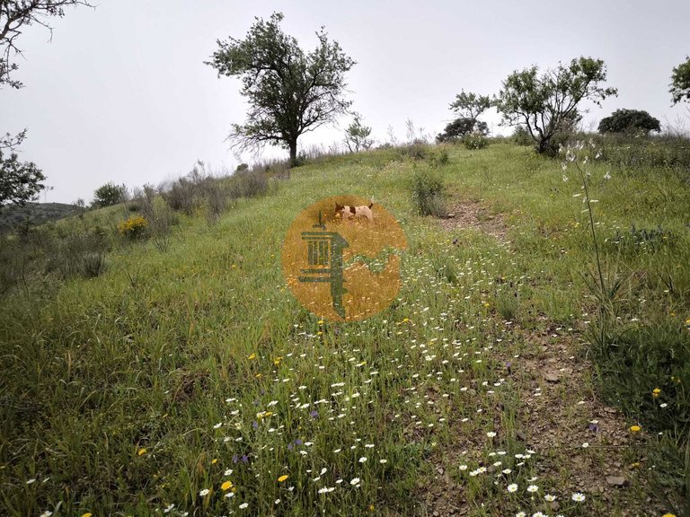 Plot for Sale in Castro Marim, Castro Marim, Portugal 11