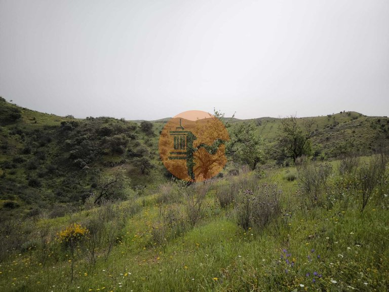 Plot for Sale in Castro Marim, Castro Marim, Portugal 14