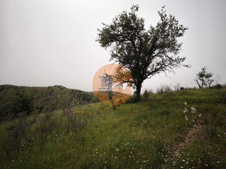 Plot for Sale in Castro Marim, Castro Marim, Portugal 15