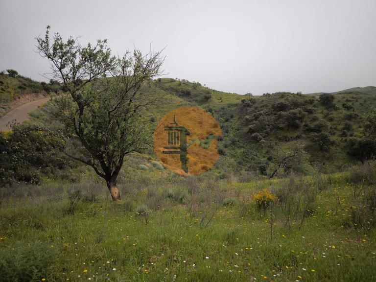 Plot for Sale in Castro Marim, Castro Marim, Portugal 16