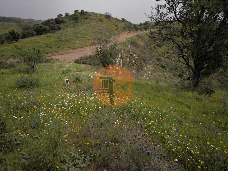 Plot for Sale in Castro Marim, Castro Marim, Portugal 32