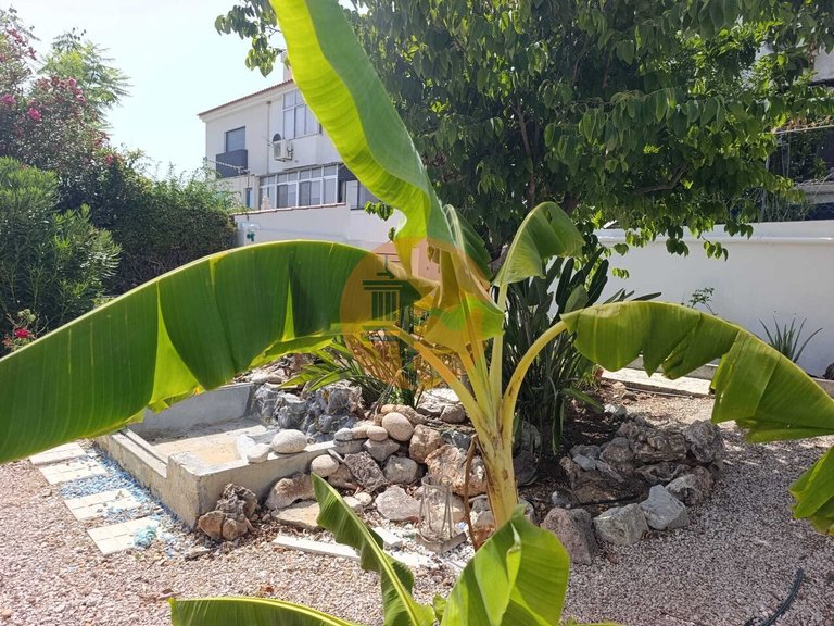 Villa for Sale in São Brás De Alportel, São Brás De Alportel, Portugal 7