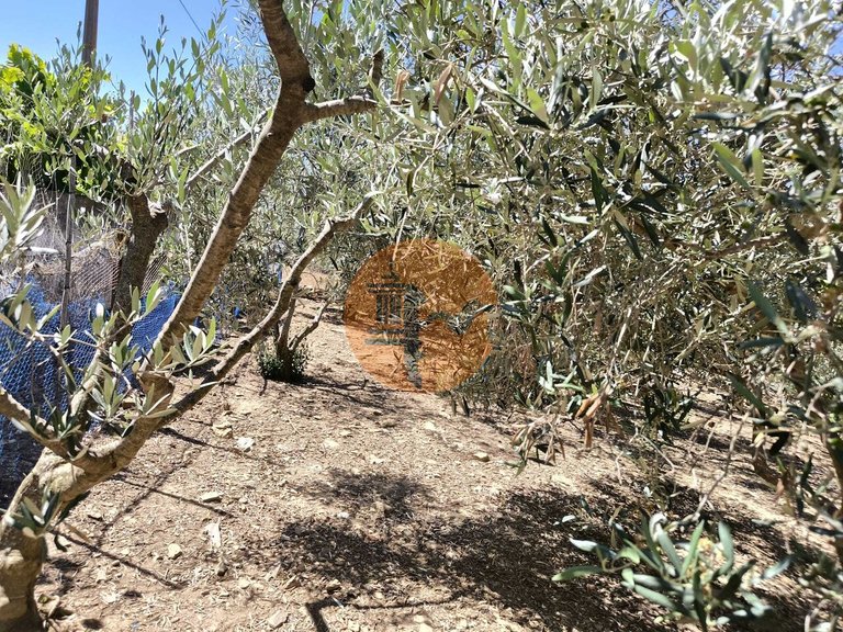 Villa for Sale in Azinhal, Castro Marim, Portugal 25