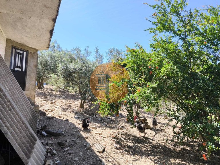 Country House for Sale in Azinhal, Castro Marim, Portugal 30