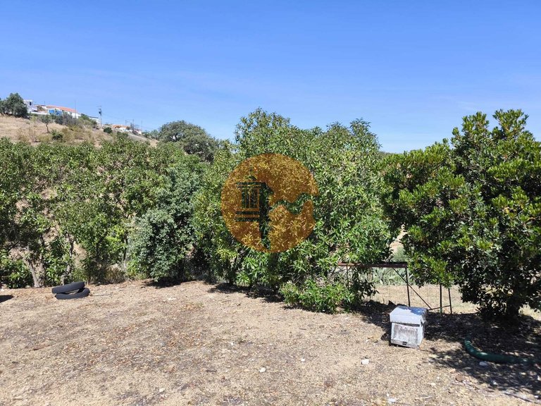 Country House for Sale in Azinhal, Castro Marim, Portugal 33
