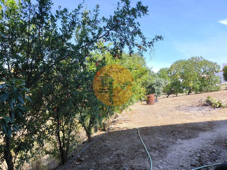 Villa for Sale in Azinhal, Castro Marim, Portugal 33