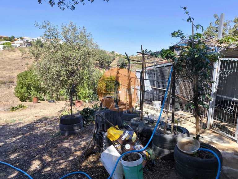 Villa for Sale in Azinhal, Castro Marim, Portugal 35