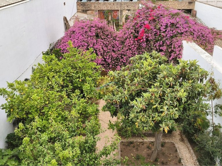Villa for Sale in Portimão, Portimão, Portugal 25
