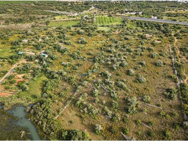 Country House for Sale in União Das Freguesias De Estômbar E Parchal, Lagoa (algarve), Portugal 15