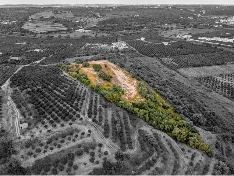 Plot for Sale in Silves, Silves, Portugal 12