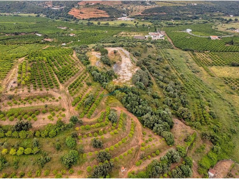 Plot for Sale in Silves, Silves, Portugal 15