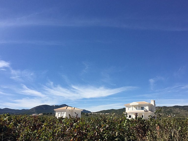 Villa for Sale in Pinoso, Alicante 2