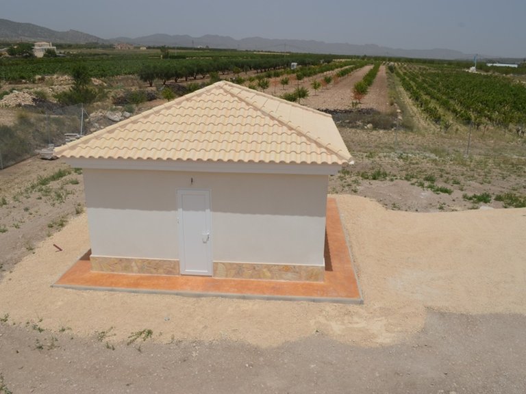 Villa for Sale in Inland Pinoso, Alicante 42