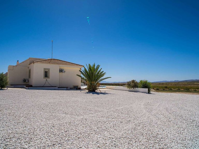 Villa for Sale in Inland Pinoso, Alicante 25