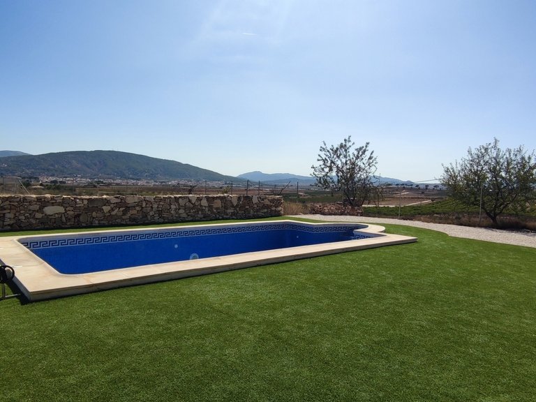 Villa for Sale in Inland Pinoso, Alicante 7