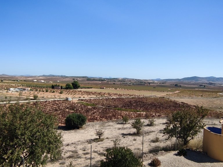 Villa for Sale in Inland Pinoso, Alicante 42