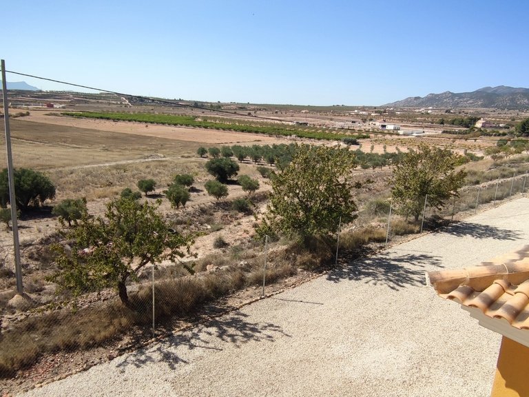Villa for Sale in Inland Pinoso, Alicante 46