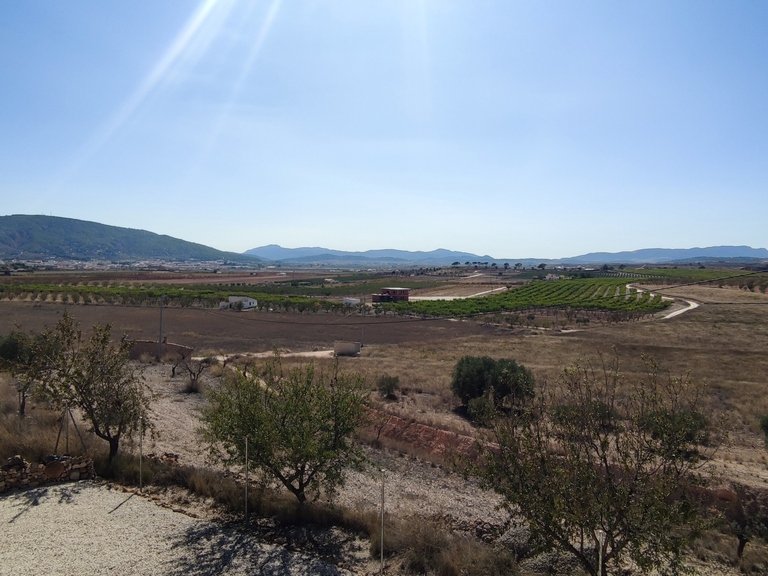 Villa for Sale in Inland Pinoso, Alicante 47
