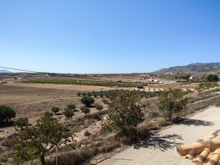 Villa for Sale in Inland Pinoso, Alicante 48