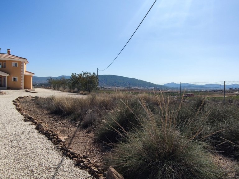 Villa for Sale in Inland Pinoso, Alicante 50