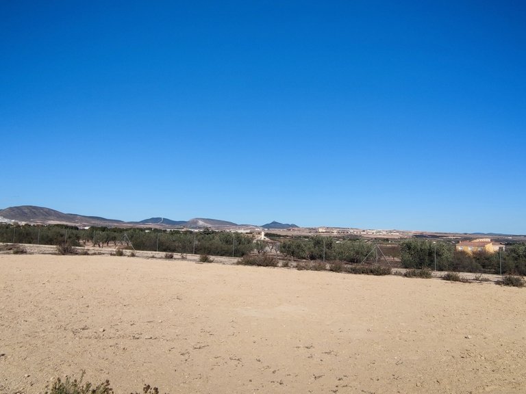 Villa for Sale in  Caudete, Valencia 16