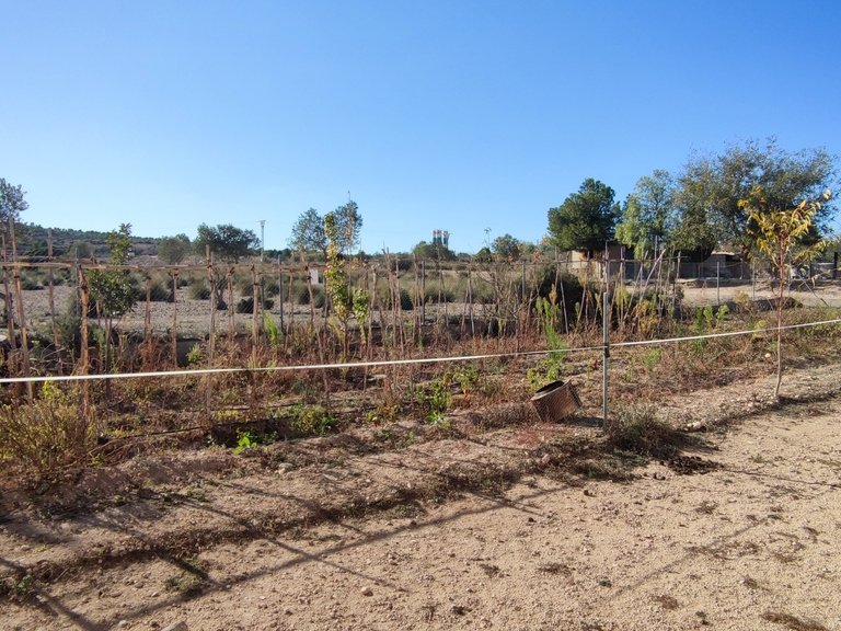Villa for Sale in  Caudete, Valencia 24