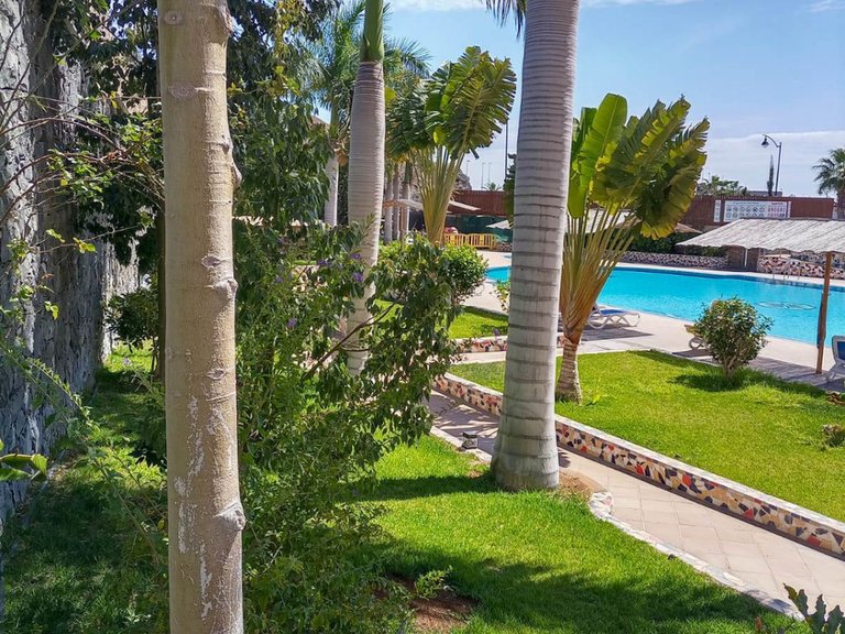 Apartment for Sale in Los Gigantes, Sta.cruz Tener. 3