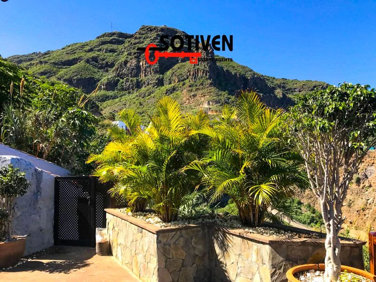 Villa for Rent in Realejos (los), Sta.cruz Tener. 12
