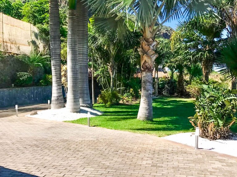 Villa for Rent in Realejos (los), Sta.cruz Tener. 15