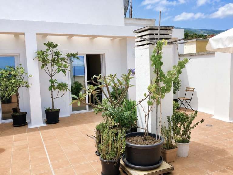 Penthouse for Sale in La Orotava, Sta.cruz Tener. 25
