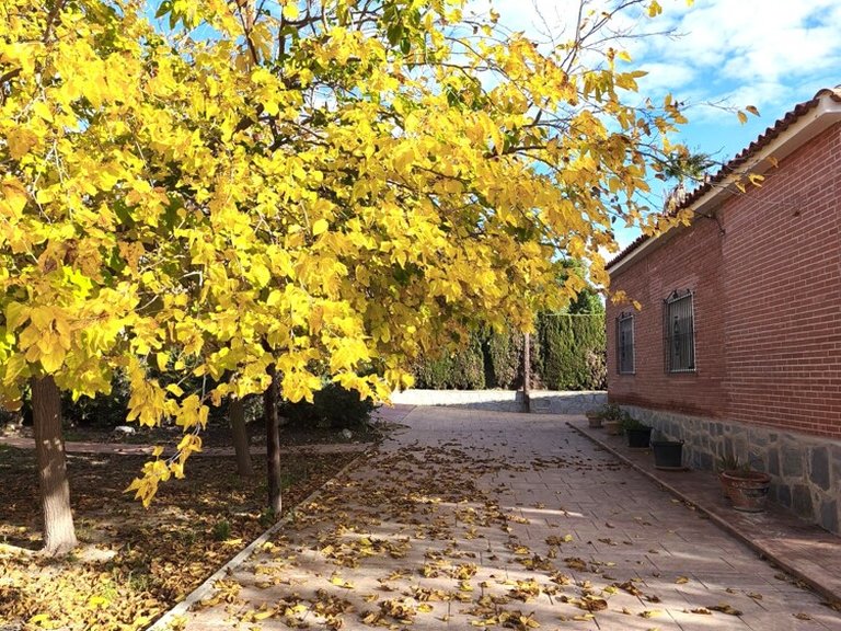 Country House for Sale in Busot, Alicante 17