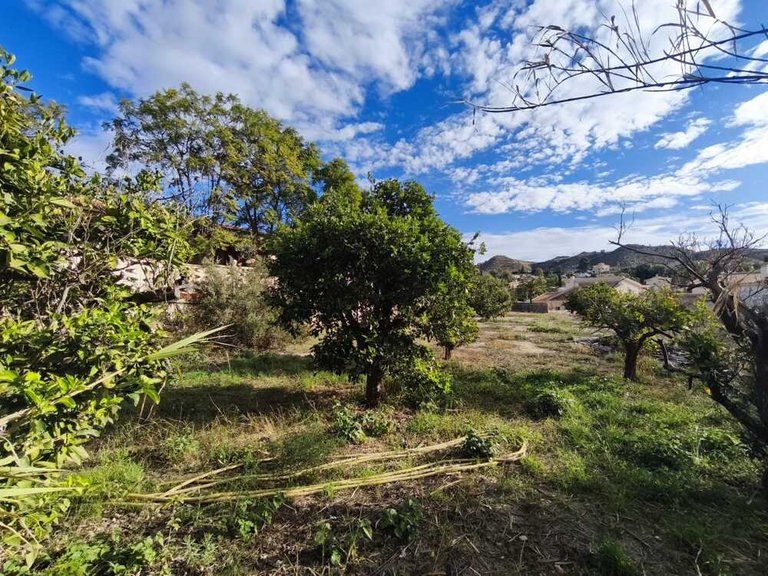 Country House for Sale in Busot, Alicante 20