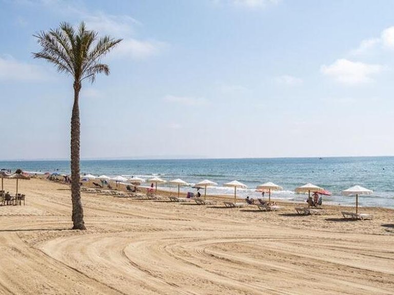 Apartment for Sale in Guardamar Del Segura, Alicante 14