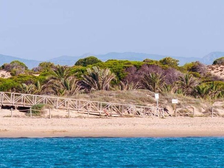 Apartment for Sale in Guardamar Del Segura, Alicante 16