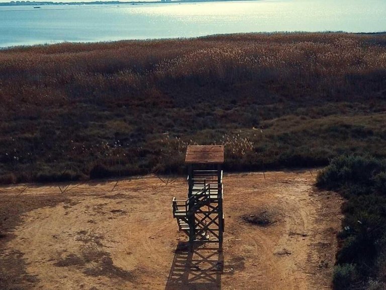 Villa for Sale in Los Montesinos, Alicante 11