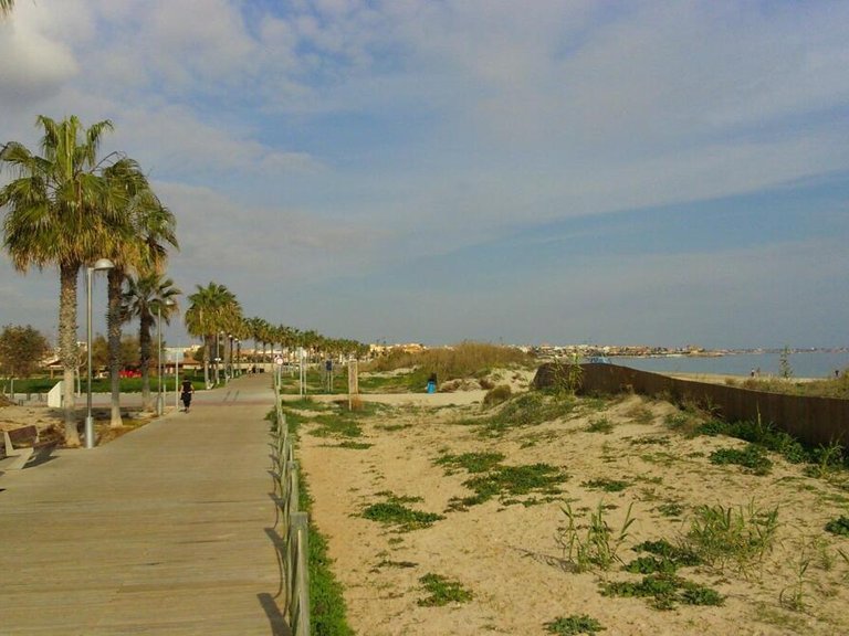 Villa for Sale in Pilar De La Horadada, Alicante 10