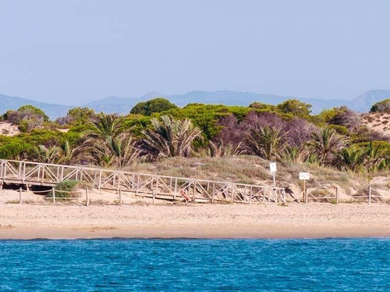 Apartment for Sale in Guardamar Del Segura, Alicante 15