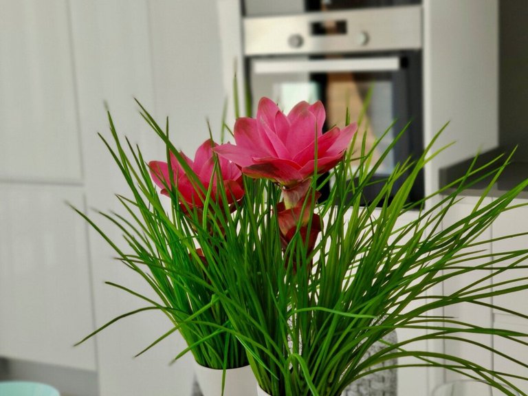 Villa for Sale in Barony Of Polop, Alicante 18