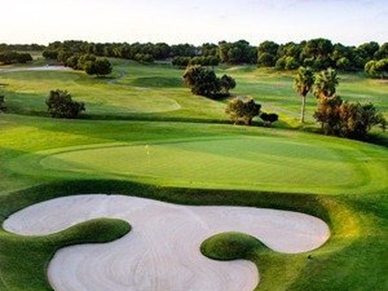 Villa for Sale in Pilar De La Horadada, Alicante 21