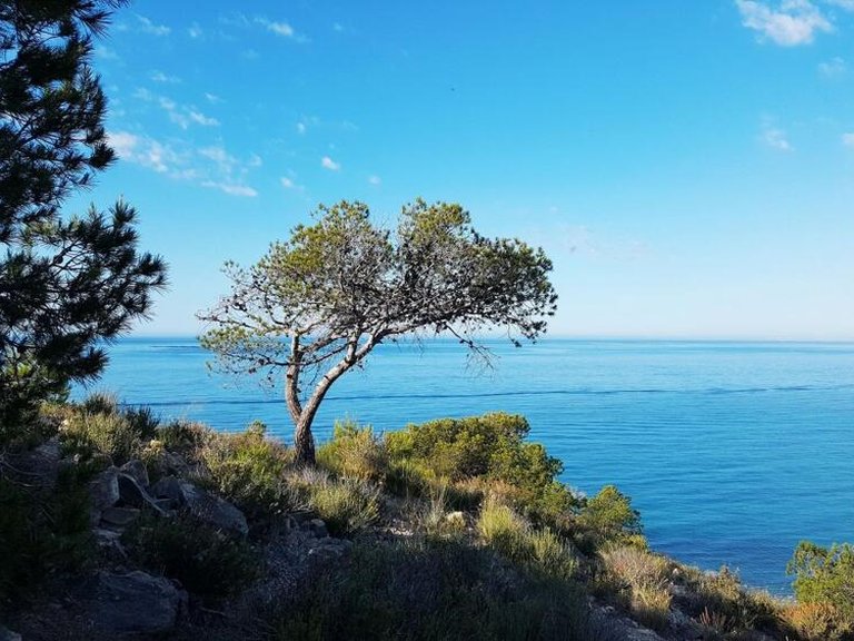 Apartment for Sale in Villajoyosa, Alicante 14