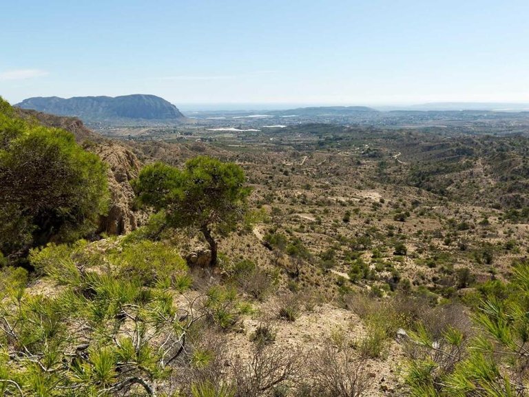 Villa for Sale in Aspe, Alicante 11